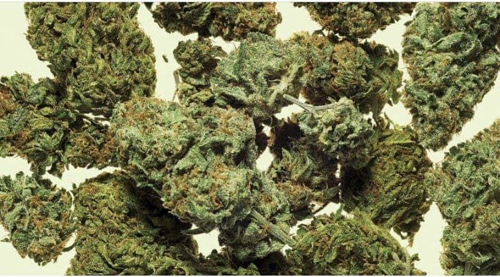 Marijuana and its effect on the psychological health and wellbeing 1 mari2